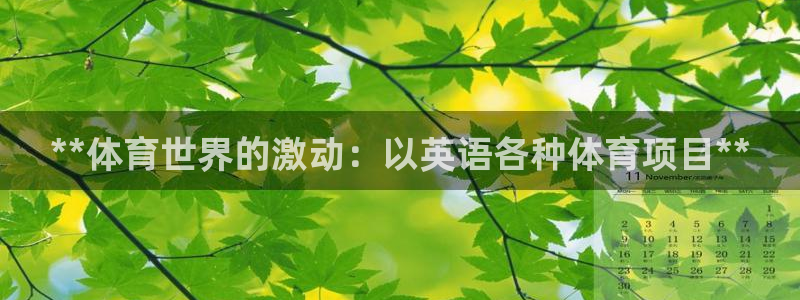 星欧娱乐联4.8.5.6.2.4.3下载