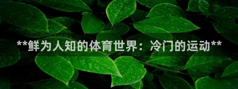 星欧娱乐联最新新闻